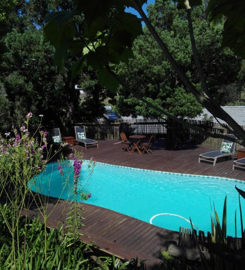 Badger'S Cottage Knysna Esterno foto