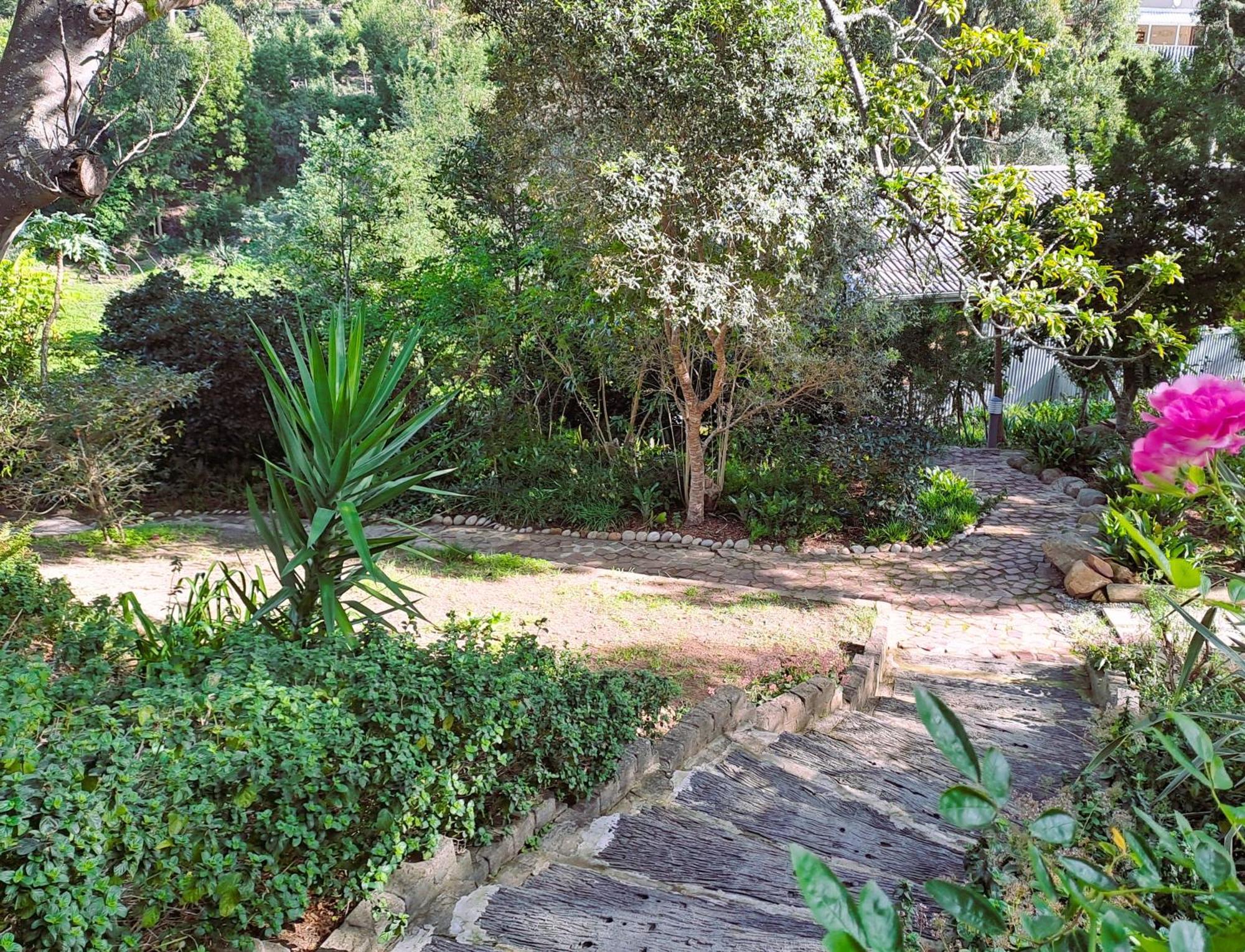 Badger'S Cottage Knysna Esterno foto